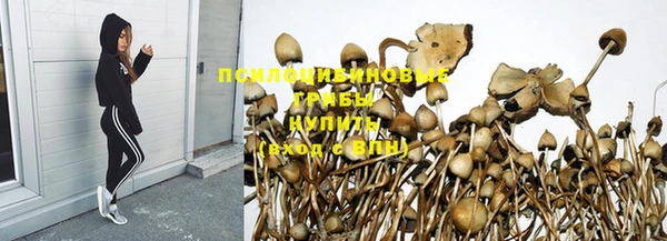 не бодяженный Зеленодольск