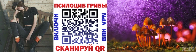 наркота  Ковров  Галлюциногенные грибы Psilocybe 